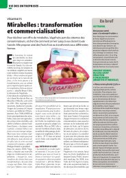 Mirabelles : transformation et commercialisation - Apecita