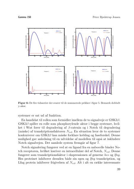 Hele bladet i pdf-format - Gamma - Niels Bohr Institutet