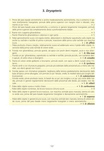 Felci e piante affini in Liguria e in Italia - Ambiente in Liguria