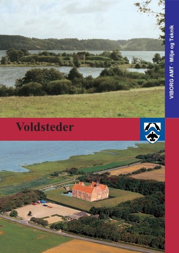 Voldsteder i Viborg amt