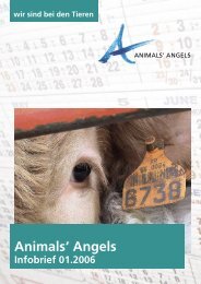 EINSATZSTATISTIK 2005: 6 AUS 378 ... - Animals' Angels e.V.