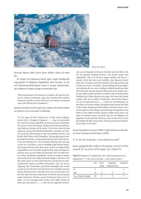 Nr. 70 - Isbjørne i Nordvestgrønland - Grønlands Naturinstitut