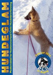 Hundeglam feb. 2010.pdf - DcH Vesthimmerland