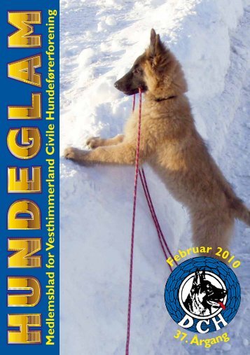 Hundeglam feb. 2010.pdf - DcH Vesthimmerland