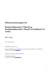 Dokumentationsrapport for Bacheloruddannelsen i ... - ACE Denmark