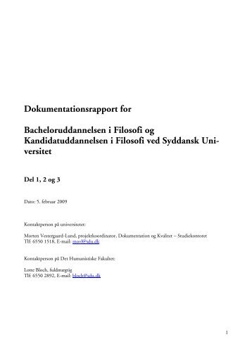 Dokumentationsrapport for Bacheloruddannelsen i ... - ACE Denmark