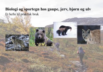 Biologi og sportegn hos gaupe, jerv, bjørn og ulv - Norges ...