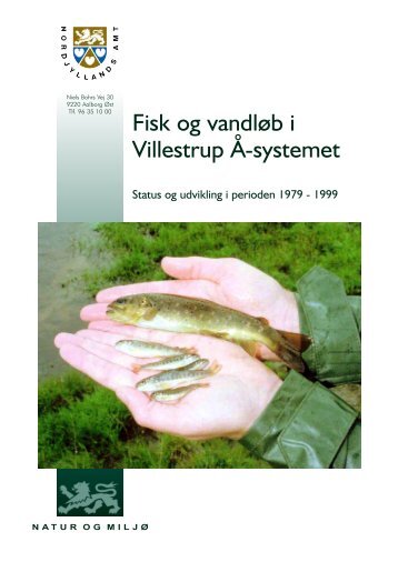 Fisk og vandløb i Villestrup Å-systemet - Biotop