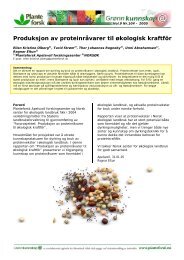 Produksjon av proteinråvarer til økologisk kraftfôr - Agropub