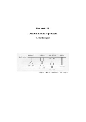 Det baltoslaviske problem: Accentologien - sproghistorie