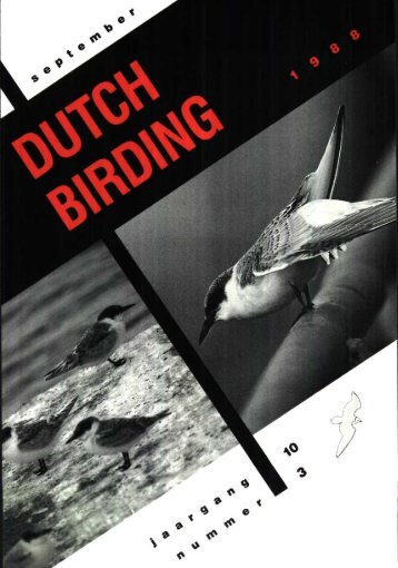 1988-3 - Dutch Birding