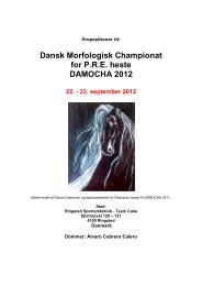 Dansk Morfologisk Championat for PRE heste DAMOCHA 2012 22.