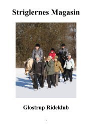 Striglernes Magasin - Glostrup Rideklub