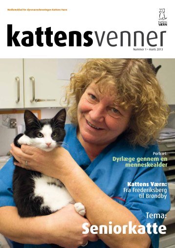 Seniorkatte - Kattens Værn