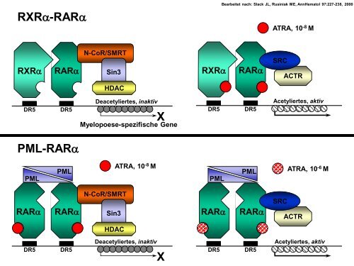 Influence of mutational status in CLL after autologous stem cell ...