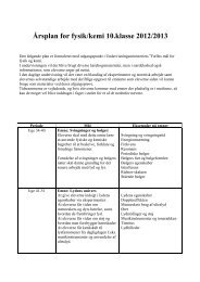 Årsplan for fysik/kemi 10.klasse 2012/2013 - Gribskov Efterskole