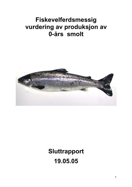 Fiskevelferdsmessig vurdering av produksjon av 0-års smolt