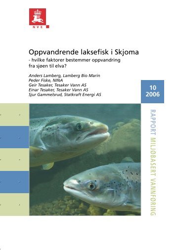 Oppvandrende laksefisk i Skjoma - NVE