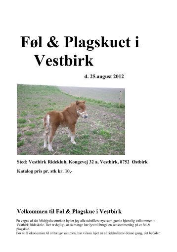 Føl & Plagskuet i Vestbirk - Shetlandspony