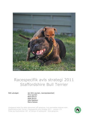 Staffordshire Bull Terrier | RAS 2011 - Dansk Terrier Klub