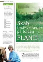 hestevelfærd på folden - Hestemagasinet.dk