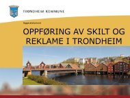 OPPFØRING AV SKILT OG REKLAME I TRONDHEIM