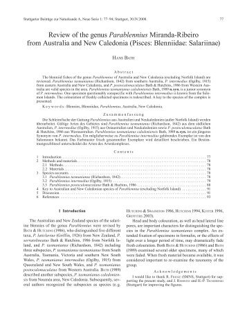 Review of the genus Parablennius Miranda-Ribeiro from Australia ...