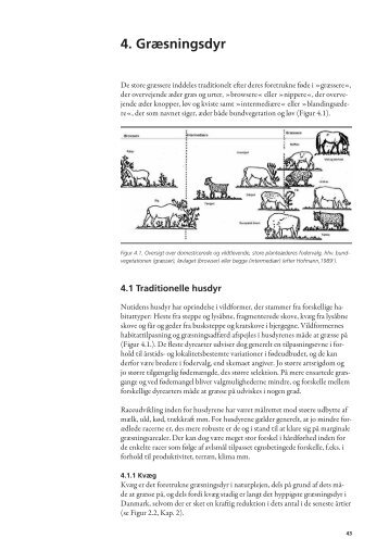 4. Græsningsdyr