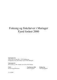 Fiskeæg og fiskelarver i Mariager Fjord foråret 2000