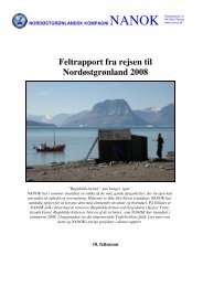 Feltrapport fra rejsen til Nordøstgrønland 2008 - Xsirius