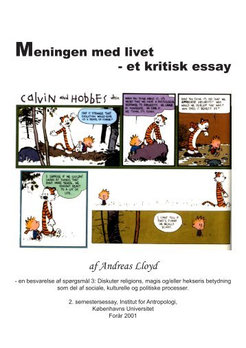 Meningen med livet - et kritisk essay