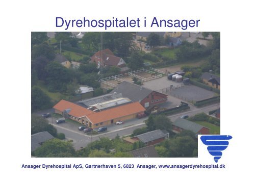 Diagnostik og holdbarhed DV.pdf - Ansager Dyrehospital ApS