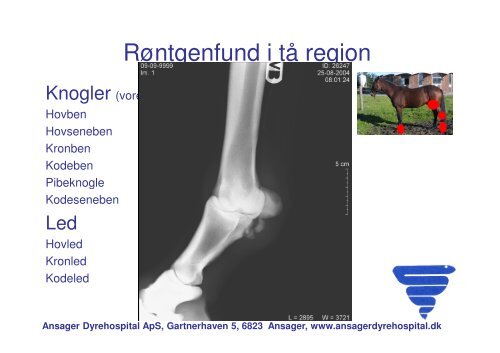 Diagnostik og holdbarhed DV.pdf - Ansager Dyrehospital ApS