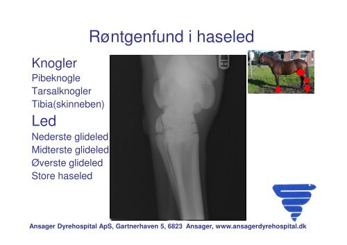 Diagnostik og holdbarhed DV.pdf - Ansager Dyrehospital ApS