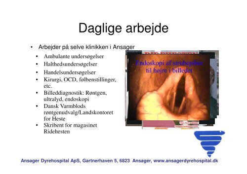 Diagnostik og holdbarhed DV.pdf - Ansager Dyrehospital ApS