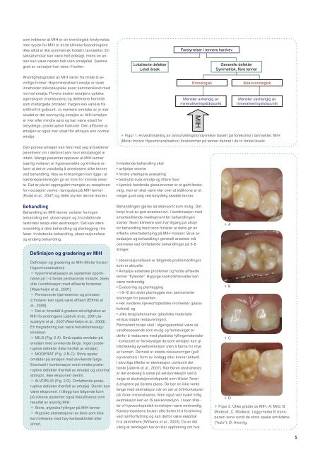 Download Scannews 2009 no. 1