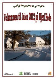 Folder 2 Jul - Hjerl Hede