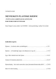 MENNESKETS PLASTISKE HJERNE - Dansk Selskab for ...