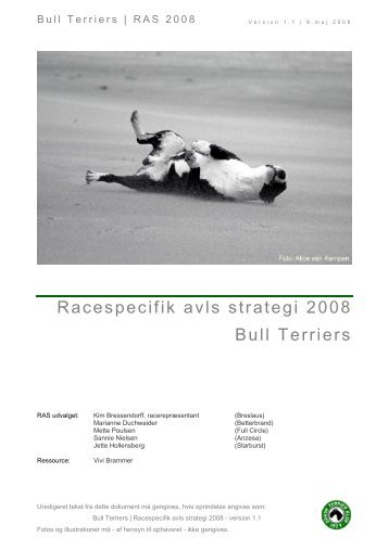 Racespecifik avls strategi for Bull Terriers - Engelsk Bull Terrier