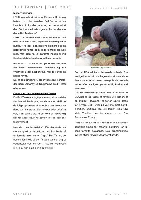 Racespecifik avls strategi for Bull Terriers - Engelsk Bull Terrier