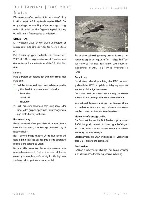 Racespecifik avls strategi for Bull Terriers - Engelsk Bull Terrier