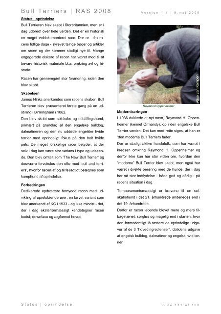 Racespecifik avls strategi for Bull Terriers - Engelsk Bull Terrier