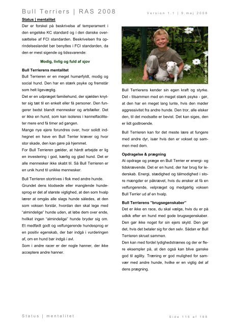 Racespecifik avls strategi for Bull Terriers - Engelsk Bull Terrier