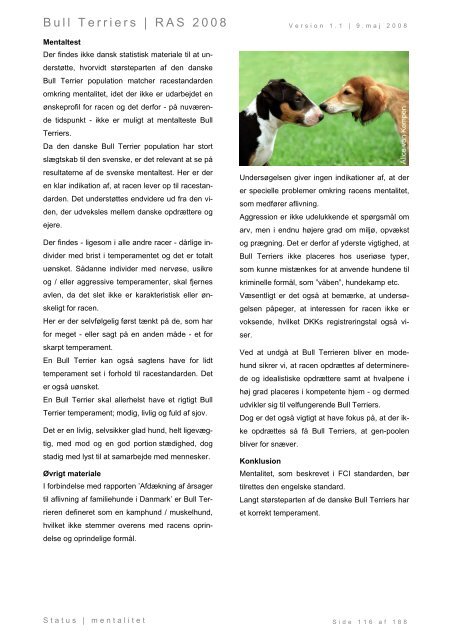 Racespecifik avls strategi for Bull Terriers - Engelsk Bull Terrier