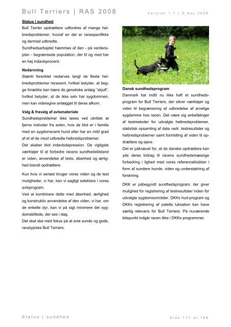 Racespecifik avls strategi for Bull Terriers - Engelsk Bull Terrier