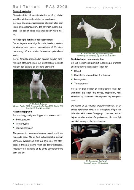 Racespecifik avls strategi for Bull Terriers - Engelsk Bull Terrier