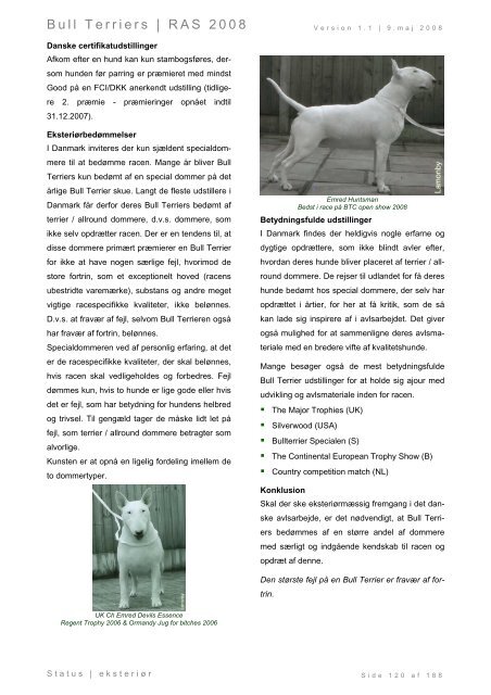 Racespecifik avls strategi for Bull Terriers - Engelsk Bull Terrier