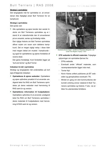 Racespecifik avls strategi for Bull Terriers - Engelsk Bull Terrier
