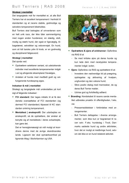 Racespecifik avls strategi for Bull Terriers - Engelsk Bull Terrier