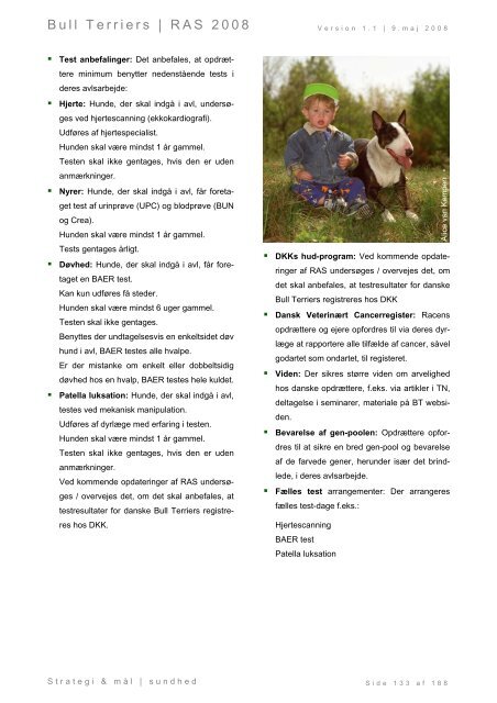 Racespecifik avls strategi for Bull Terriers - Engelsk Bull Terrier